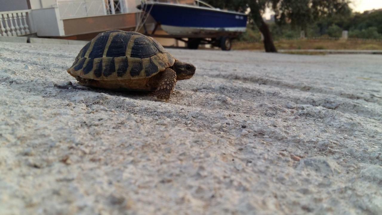 Villa Kristina Himare Bagian luar foto